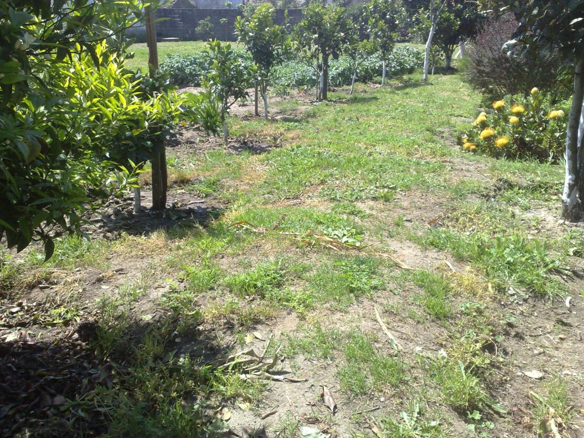 Room Villa Ribeiro Pilgrims Way To Santiago Bike A Garage For Marinhas Esposende Exterior photo